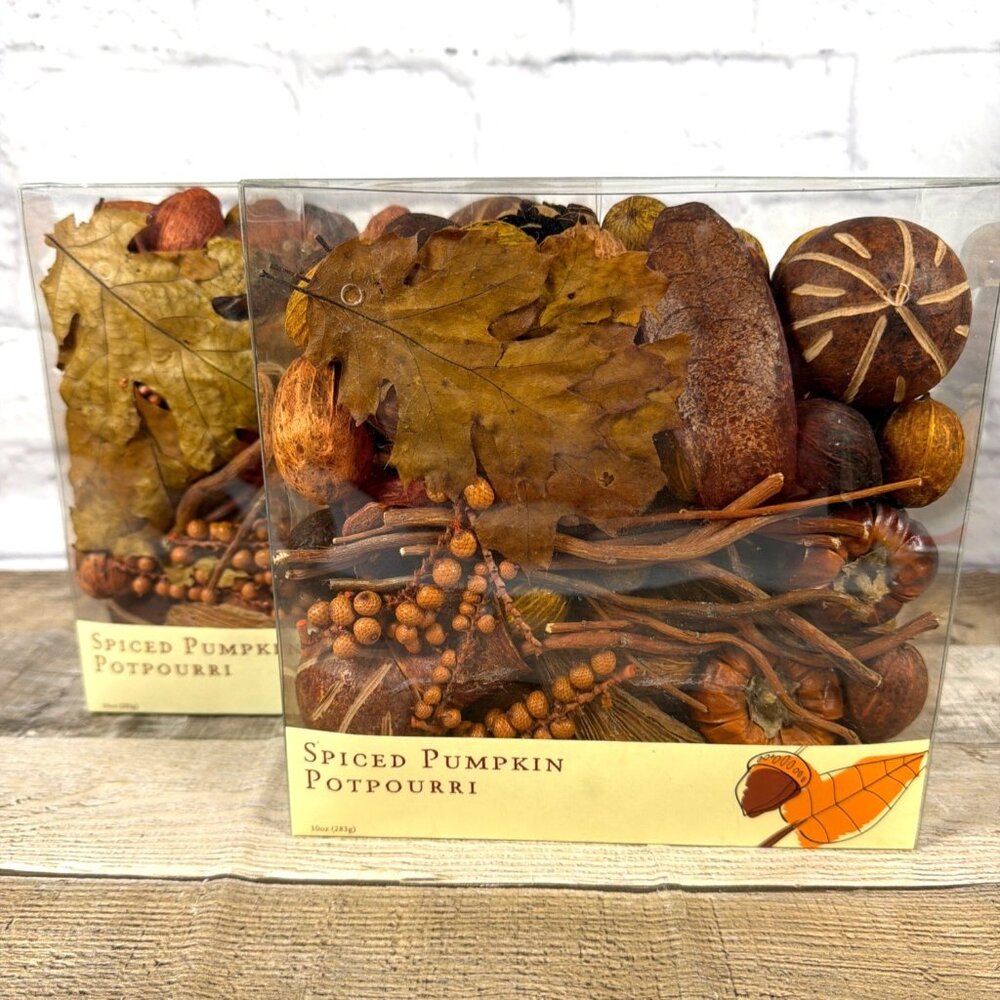 Spiced Pumpkin Potpourri World Market Fall Harvest Home Table Décor Bowl Filler - Picture 6 of 10